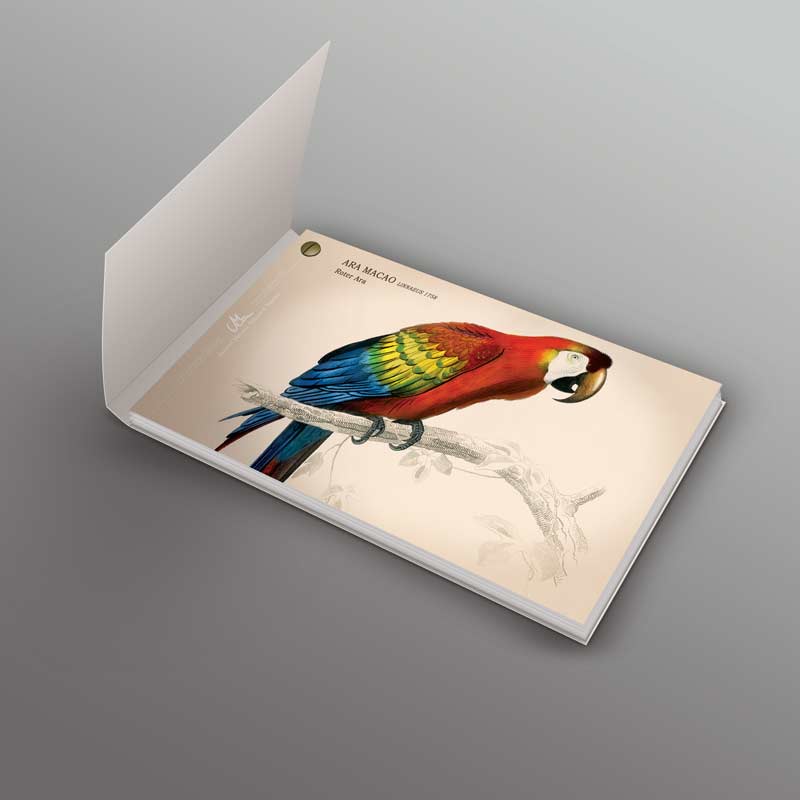 <input type="button" class="sliderbutton" onclick="window.open('https://mediamagica.de/produkt/voegel-und-ihr-gesang-kunstvolles-vogelstimmenbuch-fuer-kinder-erwachsene/'); return false;" value="Anschauen" /></button><br/><p style="margin-top:10px;">Vögel und ihr Gesang vol. 1<br/>Audio-Buch mit Vogelstimmen</p>